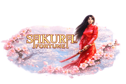 Sakura Fortune japoński slot z samurajem i kwitnącą wiśnią